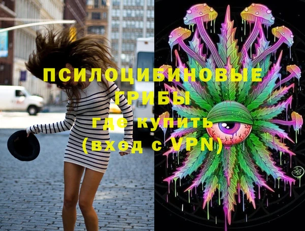 шишки Новозыбков