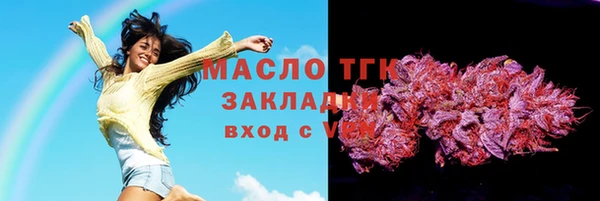 шишки Новозыбков
