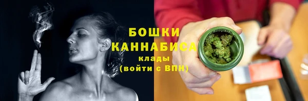 шишки Новозыбков
