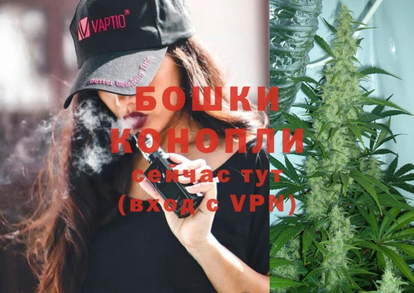 шишки Новозыбков
